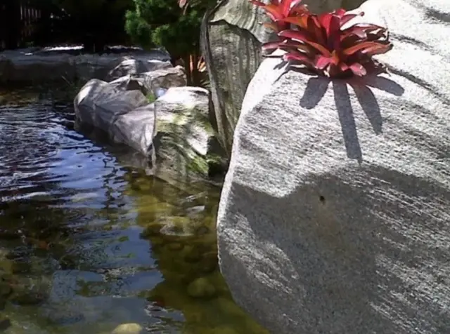 Lago ornamental com pedras artificiais