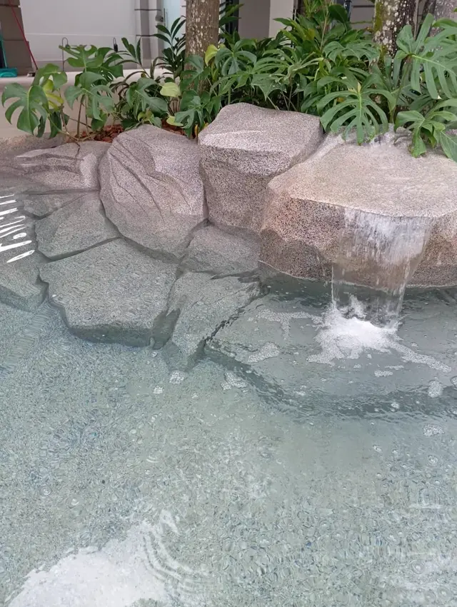 Piscina natural com bordas de pedra artificial
